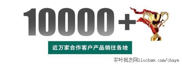 chayeL16�²� ��ܰȸ�� �߼��̲� ���װ500g ����