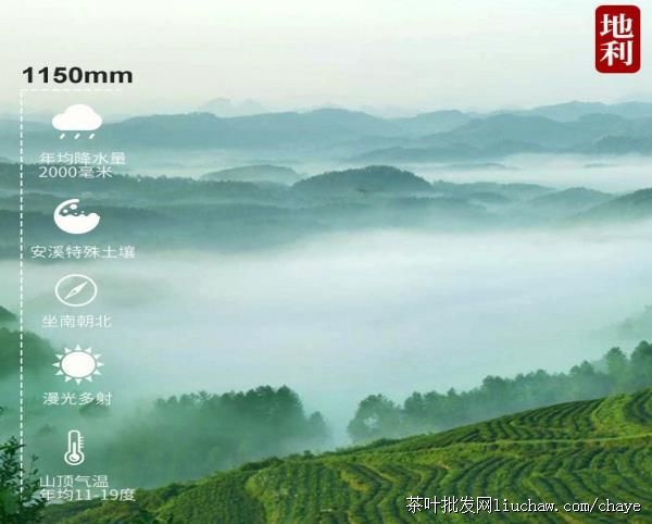 chayet02�²� ������ ��װ/���װ500g ����