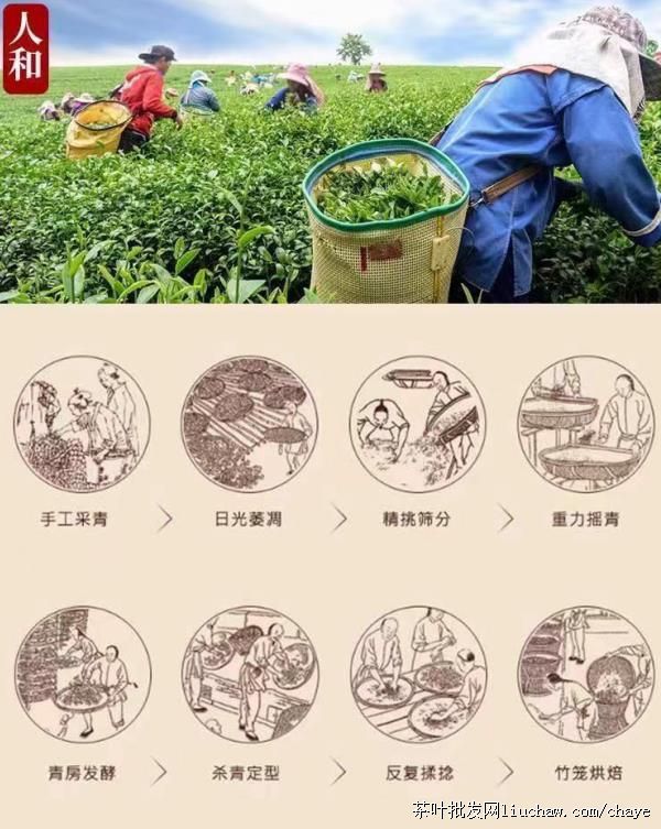 chayet01�²� ���������Ũ���� ��ζ ���װ 500g ����