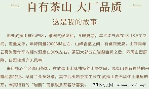 chayed07������Ҳ� 500g̼���Ҷ��������ɽ ��ɽ������ ����