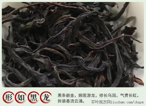 chayed07������Ҳ� 500g̼���Ҷ��������ɽ ��ɽ������ ����