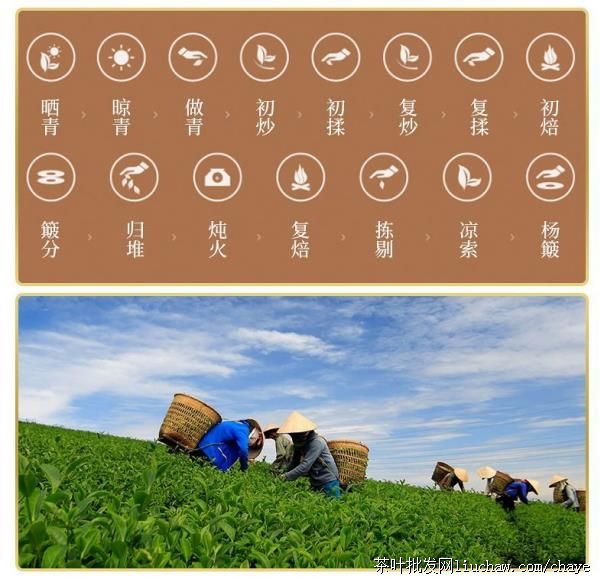 d05��������ɽ ��ɽ������Ҳ� ���װ/�� ��90Ԫ