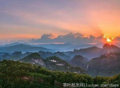 chayed06������Ҳ� ̼���Ҷ ��������ɽ��ɽ������ ���װ500g ����