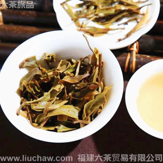 gdpe013�ն��� ���~��ľ ��� ����.