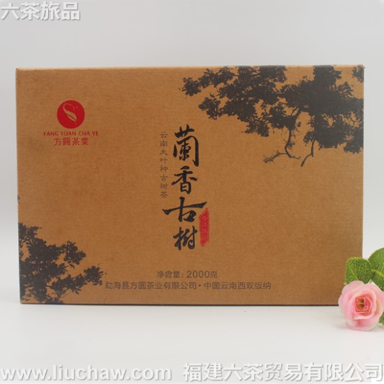 gdpe001�ն��� ���� ��ש.