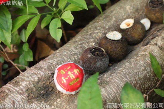 �����»�� һ��һ��180Ԫ