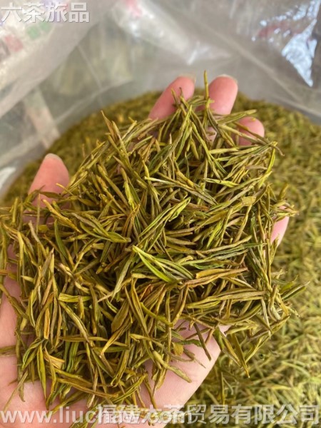 �����ײ�ƽ�ѿ һ��4�� 800Ԫ