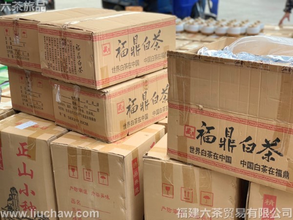 ����ü 1��60Ԫ