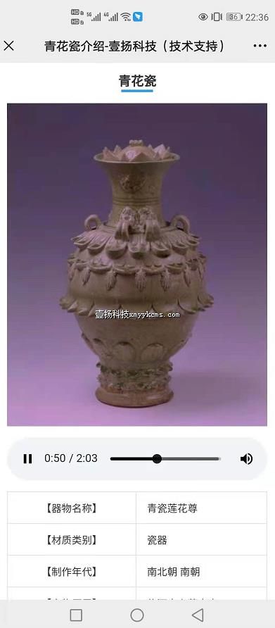 a07sp01 ��Ʒ չʾƷ   ͼƬ1+¼��1+����5��+���� ��150Ԫ ����300Ԫ