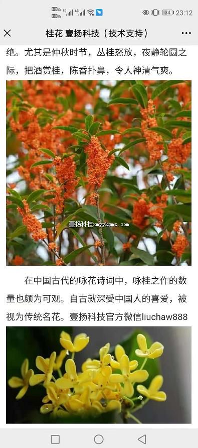 a07sp04 ��Ʒ˵�� ֲ��  ͼƬ+���� ��100Ԫ ����200Ԫ.