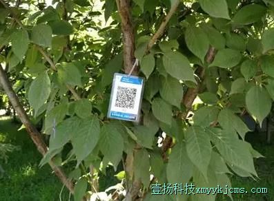 ��������ά��ɨһɨ��������Ϣȫ֪��