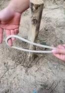 户外常用绳结妙招-抬杠结