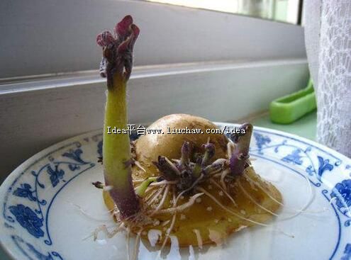 ���� ������ѿ���ܳ��˾͵��ӵ����������÷�ѿ������ʵ��С����