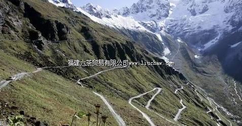 ͽ��ī�Ѹ�ԭ��������;������ʢ�ž���ͽ����·