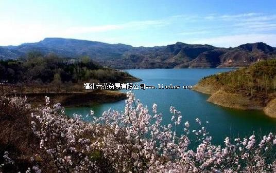 ����ʮ��ŵ�֮�۱������ͽ�����׹ŵ�