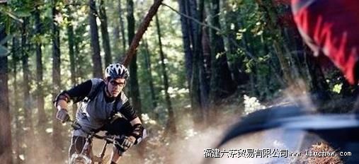 �����������׵�ѡ����ʹ�òο�