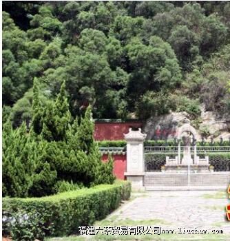 ������ս�����