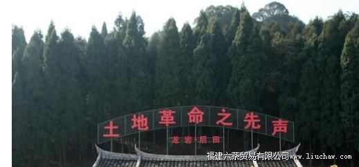 ���Һ��ﱩ�������