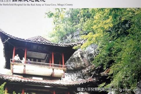 ��Ϫ���黯�����鶴�������ս��ҽԺ