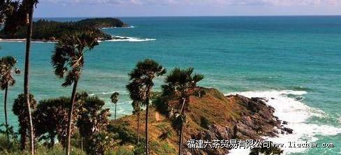 �����޶������ռ����������ι���