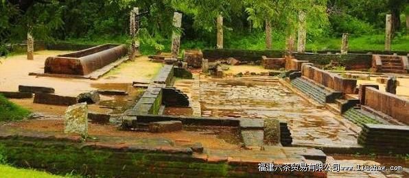 斯里兰卡旅行莲花净土旅游攻略七大世界遗产旅游攻略