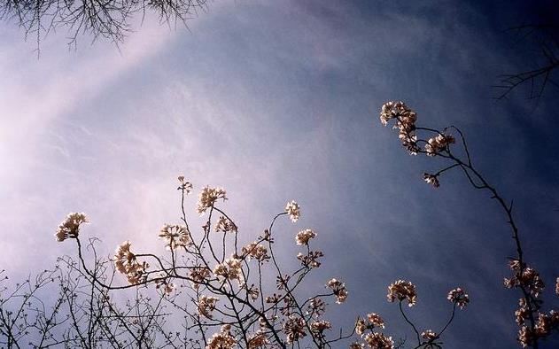 �ձ��������ι��Դ�ȫ֮��ȥ��-��Ұ���ι���