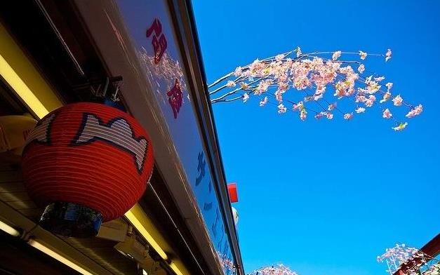 �ձ��������ι��Դ�ȫ֮��ȥ��-ǳ�ݺ�ǳ�������ι���