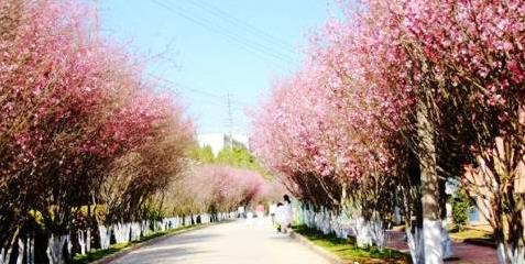 韩国旅行之梦幻济州岛行程和准备参考旅游攻略