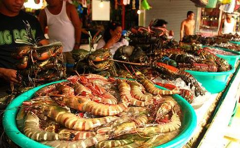 ���ɱ���̲��������ʳ�͹���ο����ι���