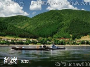 ������-�׸�