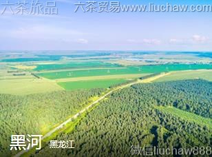 ������-�ں�