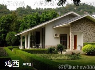 ������-����