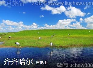 黑龙江-齐齐哈尔