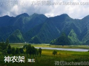 湖北-神龙架
