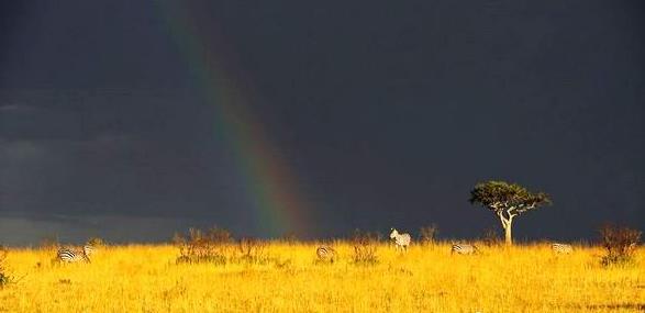 �������ж����������������ι���֮�г��Ƽ��ο�����ʾ���ι���