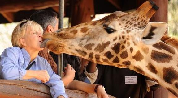 �������ж����������������ι���֮���ޱ��ļ��紺���������ι���