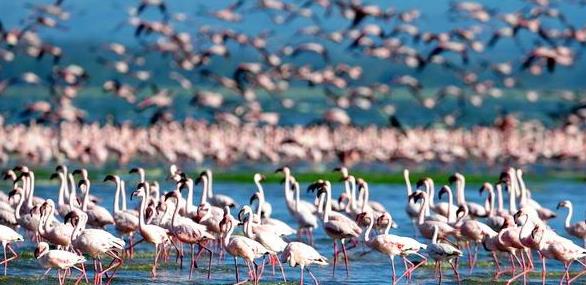 �������ж����������������ι���֮�ɿ�³�����µ����ι���