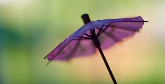 ����������֮����������������������ι���