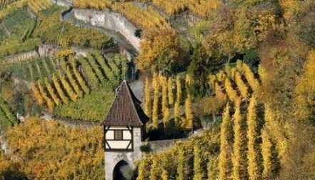 ŷ��������ζ����־�������ֵ����������ι���