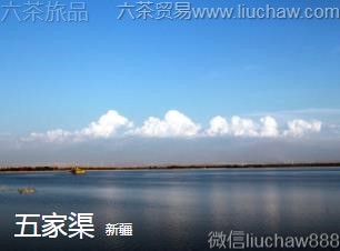 �½�-�����