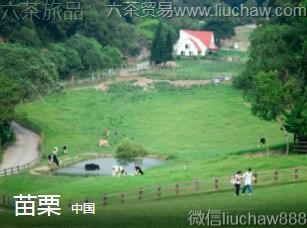 �й�-����