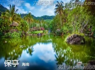 海南-保亭.