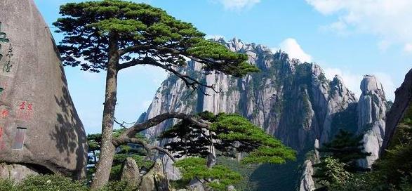 安徽旅行云海奇峰黄山旅游攻略景区门票一览旅游攻略