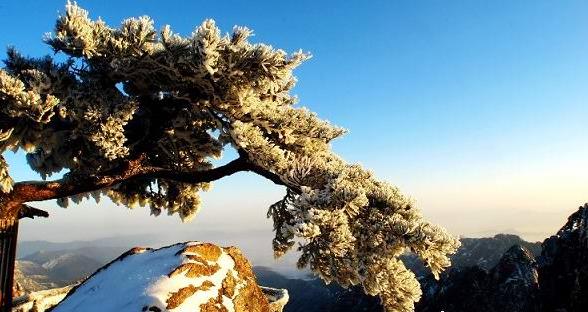 安徽旅行云海奇峰黄山旅游攻略精华景点面面观旅游攻略