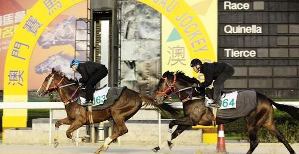 �������ж����ĳ����ι��Բ������ֲο�