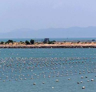 �㶫��ͷ�ϰĵ������μ�ͼƬ