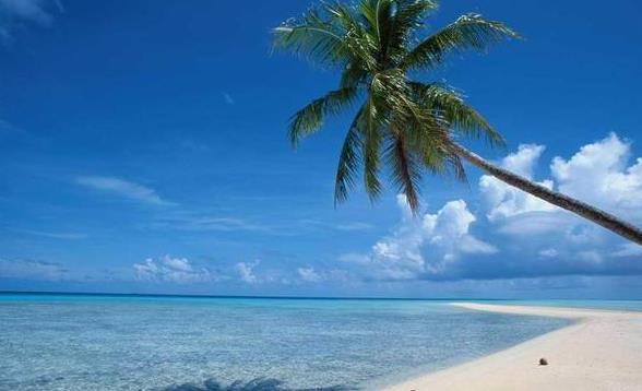 ������������������ȫʡǮ�İ취���ο�