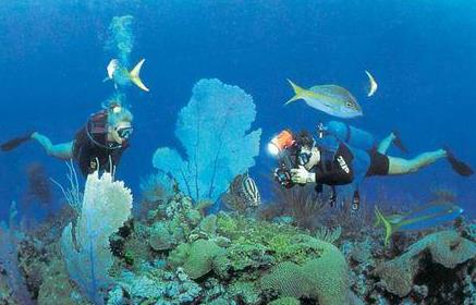 ��������ר������4�����ص�����