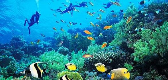 �ȼٵĺõط���Ѻ�̲�������ι����������ο����ι���