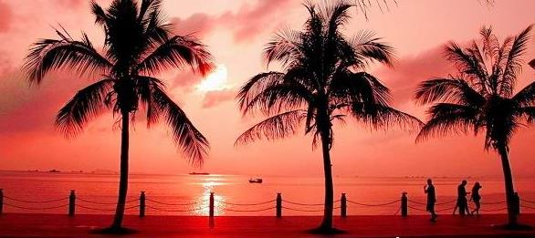 �ȼٵĺõط���Ѻ�̲�������ι�������С�ٿ�֪ʶ���ι���